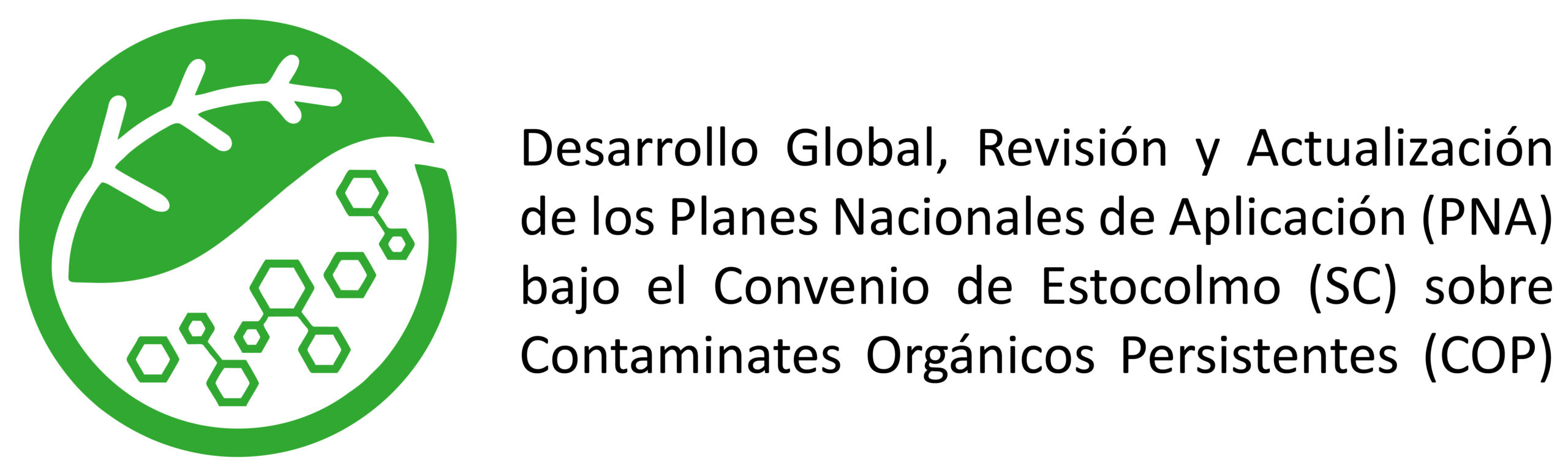 Lanzamiento de Proyecto: Desarrollo Global, Revisión y actualización de los Planes Nacionales de Aplicación (PNA) bajo el Convenio de Estocolmo (CE) sobre Contaminantes Orgánicos Persistentes (COP) en Perú