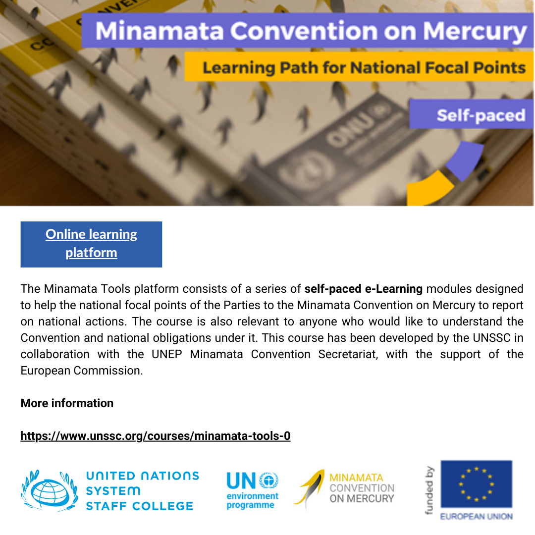 The Minamata Convention and UNSSC launch the “Minamata Tools” online learning platform